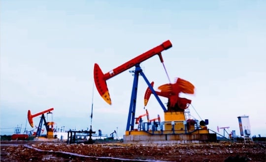 Alauda Container Platform